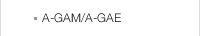 A-GAM.GAE