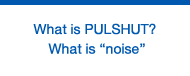 What is PULSHUT? What is “noise”