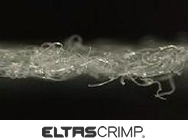 ELTASCRIMP