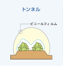 イラスト：トンネル